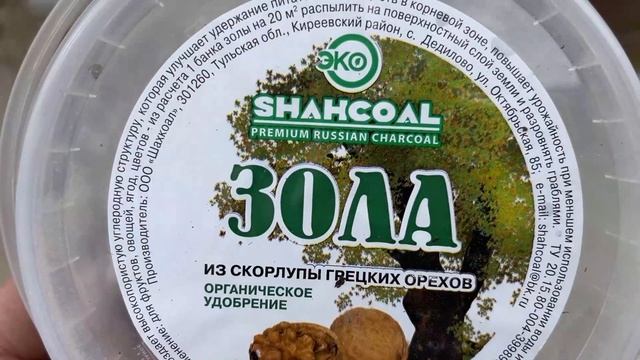 ОСОБЕННОСТИ ПОСАДКИ ДРЕВОВИДНЫХ ПИОНОВ
