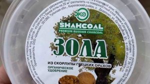 ОСОБЕННОСТИ ПОСАДКИ ДРЕВОВИДНЫХ ПИОНОВ
