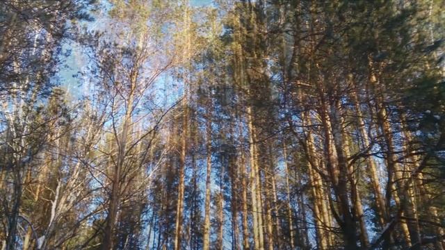 Гайва смотреть онлайн