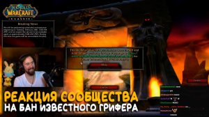 Tinyviolin забанили! Что ждет гриферов в World of Warcraft Classic