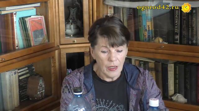 Надежный способ посева  мелкосеменных культур, таких как петуния, лобелия, сельдерей