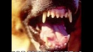 Mo-Do - Liebes Tango