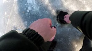 Лещ на гирлянду с эхолотом Практик эр6 pro2 #зимняярыбалка#рыбалканаднепре