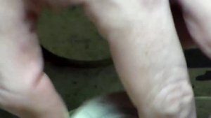 Барометр, гигрометр и термометр - три в одном