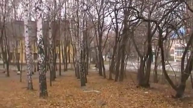 Виды парка ДКЖ смотреть онлайн