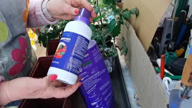 Держала себя в руках до последнего. Посев Томатов 55 сортов. Ранние томаты удивляют