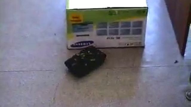 Модель робота, имитирующая поведение насекомого смотреть онлайн