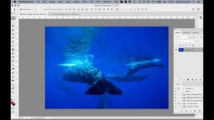 Урок 3.  Пресеты и экшены