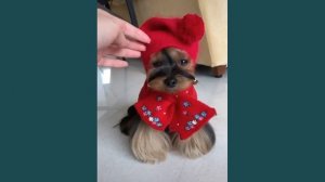 слава богу мне бог дал хороший вкус шоб цвета оттенки совпадали ...