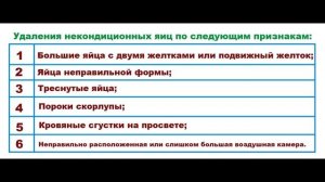 ВЫРАЩИВАНИЕ ГУСЕЙ. ВЫБОР ПОРОДЫ, ОТБОР НА ПЛЕМЯ, СОДЕРЖАНИЕ РОДИТЕЛЬСКОГО СТАДА