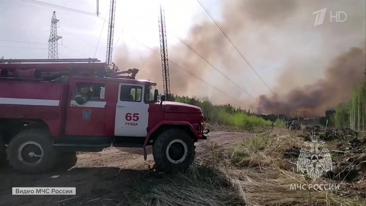 Желтый уровень пожарной опасности из-за сильного ветра введен в Курганской области