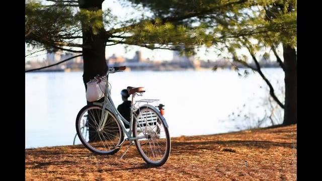 Relaxing music for sleep, stress смотреть онлайн