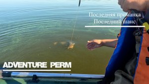 Охота за легендарным сомом: успехи и неудачи на рыбалке с квоком