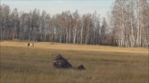 Охота на копытных. Охота на косулю. Подполз на 30 метров. Jagd auf Reh.