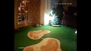 спите спокойно, жители Багдада, в Багдаде все спокойно...