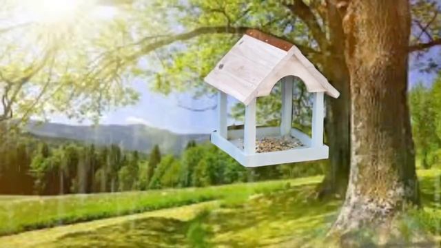 Кормушка. Н. Нищева #какразвиватьпамятьдетей5-6лет
