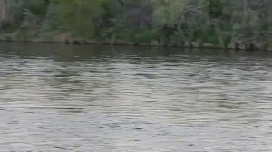 Рыбалка в Орске. Урал.  Горюн