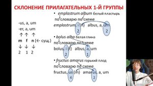 Лекция 2. Часть 4. Прилагательные 1-2-го склонения.