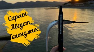 Сарган. Август. Геленджик.
