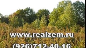 Жуковский район, деревня Чаусово