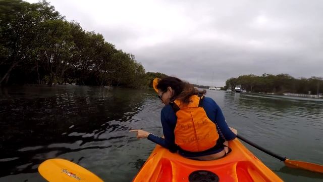 Австралия. Поездка на каяках по Jervis Bay. Белоснежный Hyams beach и дикий Murrays beach. смотреть онлайн