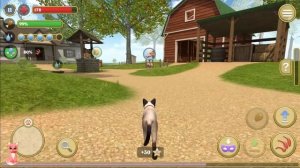 Знакомимся с КОТИКОМ и заводим семью в игре Симулятор кота и кошки