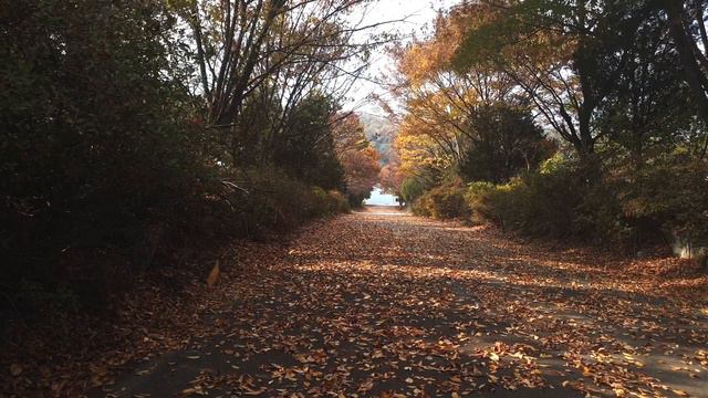 16 сентября День Василисы и Домны Доброродной. ГЛАВНАЯ ПРИМЕТА ДНЯ ПОМОЖЕТ ИЗБАВИТЬСЯ ОТ БЕДНОСТИ. смотреть онлайн