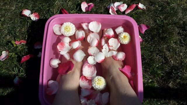 Десерт для ножек красавицы смотреть онлайн