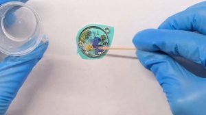 Кулон из эпоксидной смолы с сухими настоящими цветами