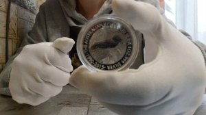 Серебрянные монеты Китайская панда и Кукабарра! Инвестиционные серебряные монеты Китая и Австралии!