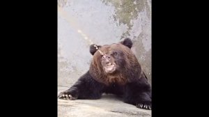 ГАЙД КАК ССАТЬ СО СТОЯКОМ (ПОД ФОНК)