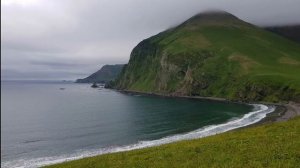 Командорские острова - природа неизвестной России!