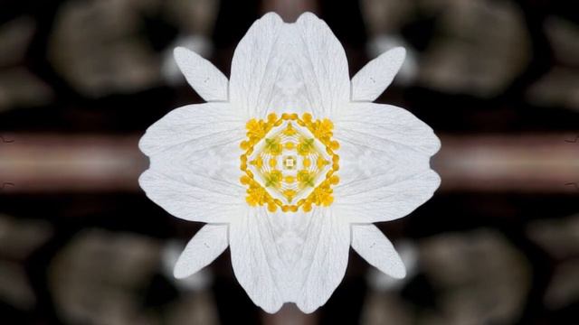 lutik смотреть онлайн