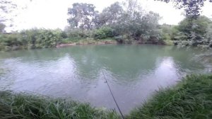 Голавль и его места обитания вместе с Сергеем Гриненко