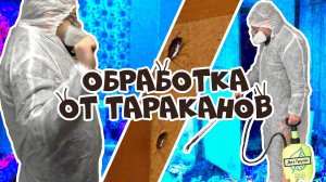 Тараканы - избавляемся БЫСТРО и НАВСЕГДА⏰ Как? Грамотное уничтожение тараканов❌ Сам или дезинфекция❓