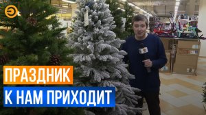 Новогодняя подготовка идет полным ходом