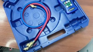 Весы электронные до 100 кг DSZH WK-RF100