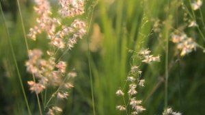 Классическая музыка для малышей, повышающая аппетит