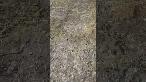 Разбиваем телефон (Honor 8S)