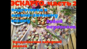 ЭСКАРГО по-бургундски. Часть2 | Забой перепелов. Активно готовлюсь к осени. Забор