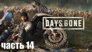 Прохождение Days gone - Часть 14