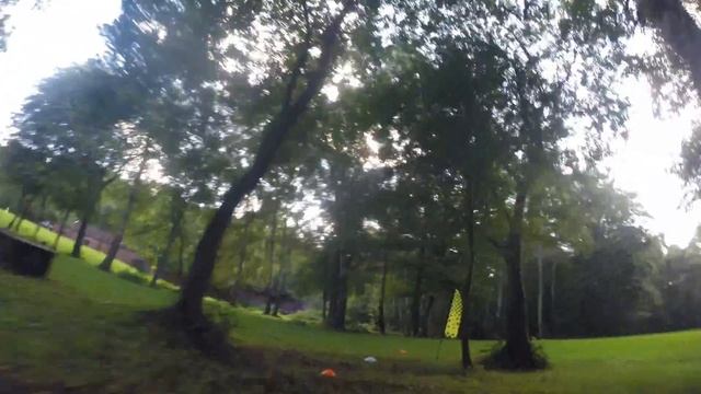 Arguments With Trees and Ninja Branches смотреть онлайн