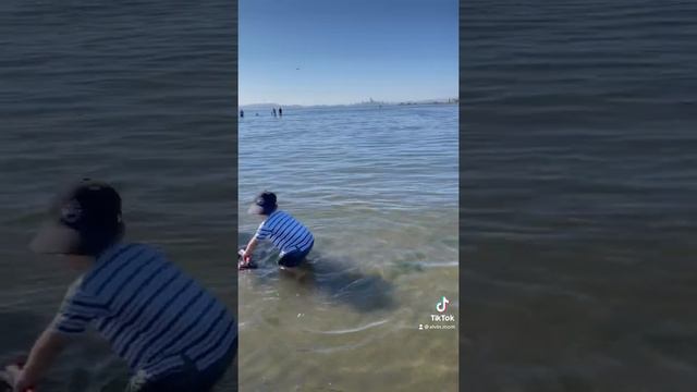 Alvin plays with jet ski on Alameda beach, San Francisco Bay | Funtime | playing time | family time