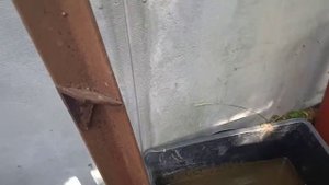 насос без топлива, подбор нужной массы воды, подбор диаметров трубок, и вывод.