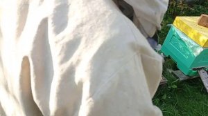 Пчелы читали газету .Объединение через газету.Один из популярных способов объединения