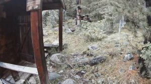 Хойто-Гол горячие источники