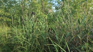 Производственная окраина города Иваново.mp4