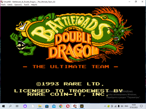 Battletoads_&_Double_Dragon_-_The_Ultimate_Team_(U) 2 LEVEL