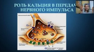 Сухие молочные коктейли: особенности состава, бонусы от применения