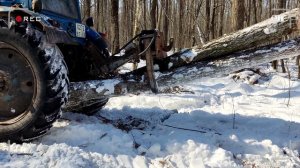 Трелёвка леса. Красногвардейский район . Белгородская область .